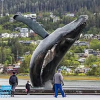 whale statue