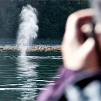 photographing a whale spout