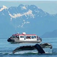 whale tail in front of Gastineau boat